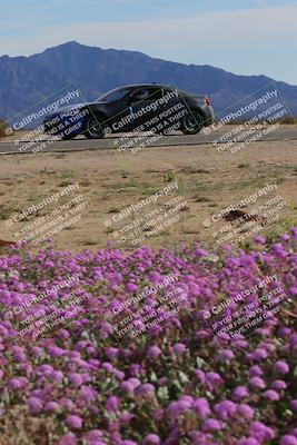 media/Jan-08-2023-SCCA SD (Sun) [[8f6a5b9391]]/Advanced Group/Session 2 (Short Straight)/